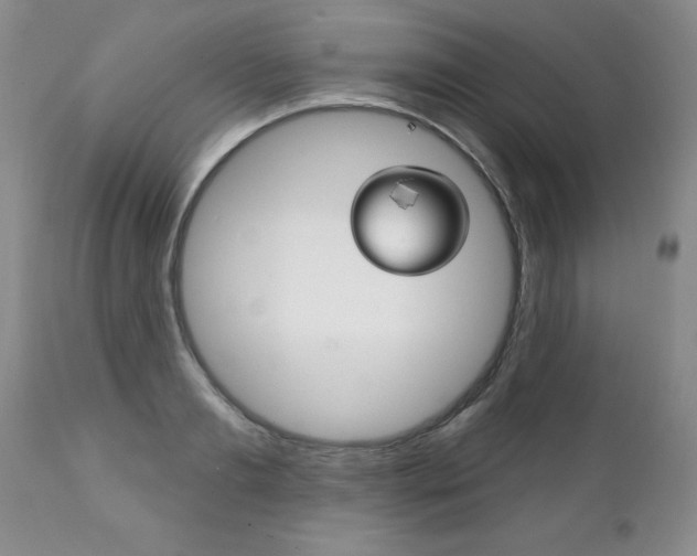 X0000111130893200906301102
