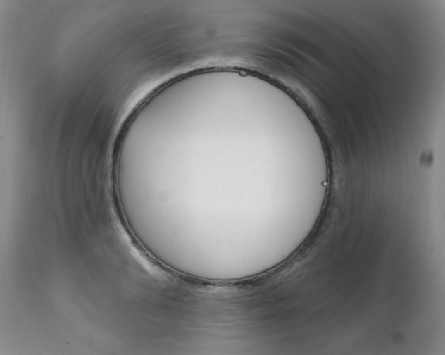 X0000111130894200906301102