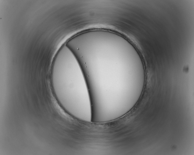 X0000111130895200906301102