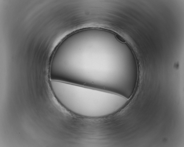 X0000111130896200906301102