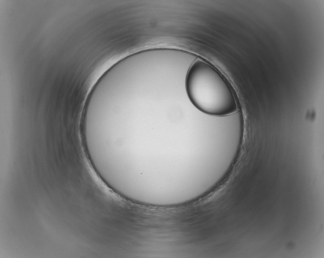 X0000111130901200906301102