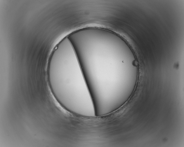 X0000111130902200906301102