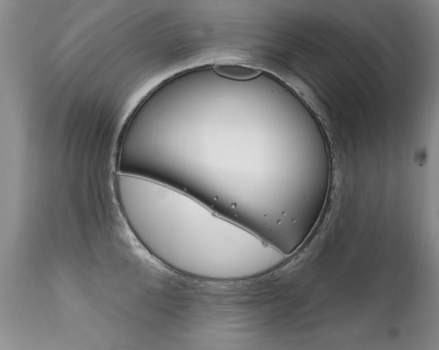 X0000111130904200906301102