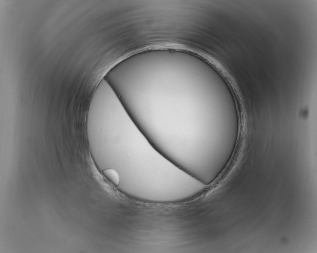X0000111130905200906301102