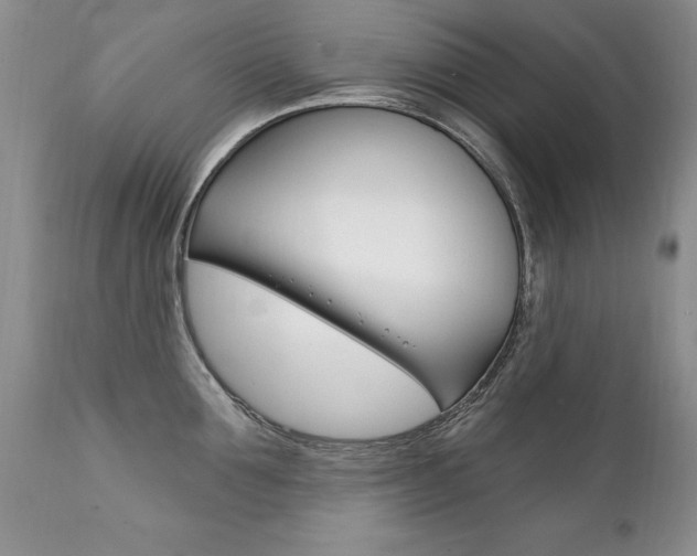 X0000111130907200906301102