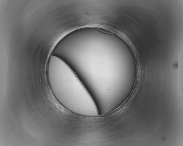 X0000111130908200906301102