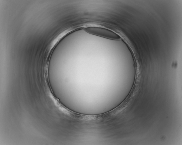 X0000111130909200906301102