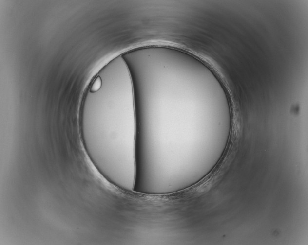X0000111130910200906301102
