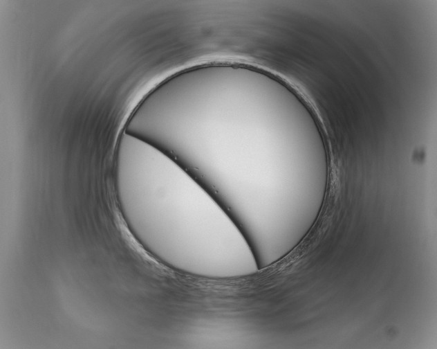 X0000111130911200906301102