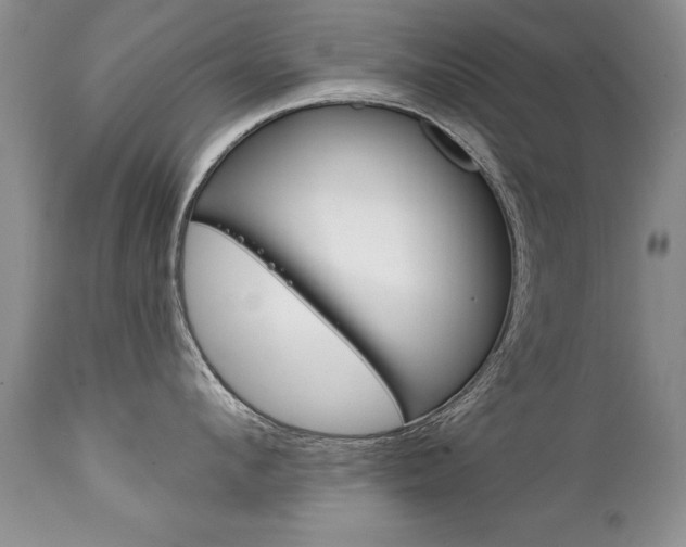 X0000111130912200906301102