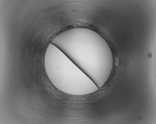 X0000111130915200906301101