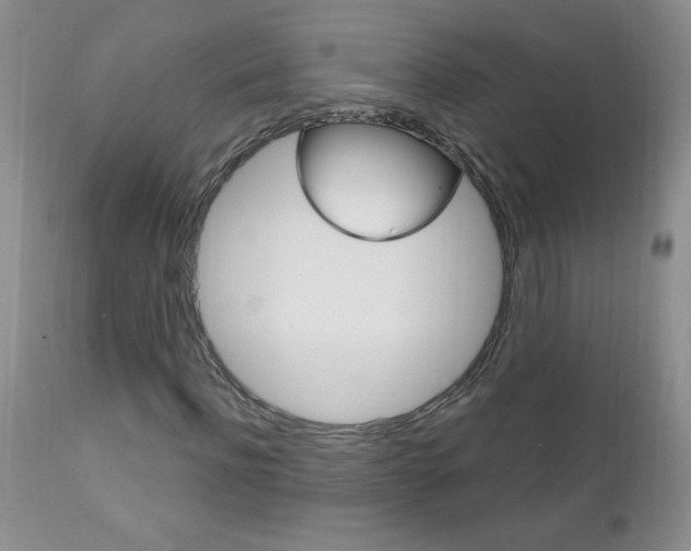 X0000111130916200906301101