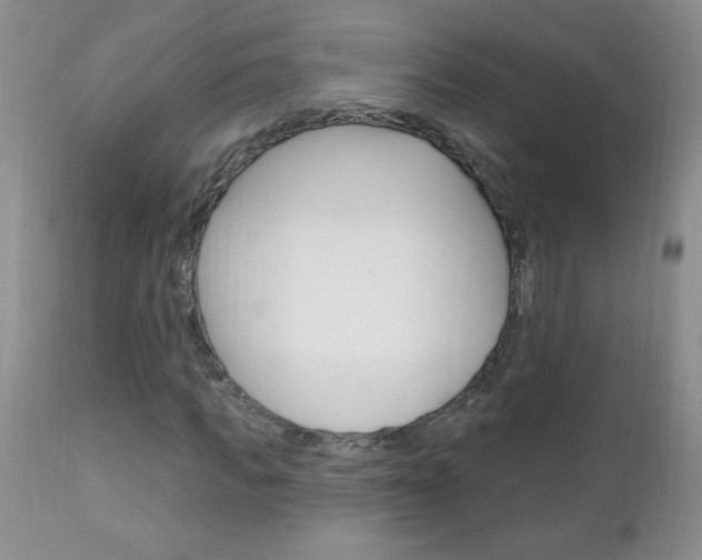 X0000111130917200906301101