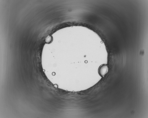 X0000111130918200906301101