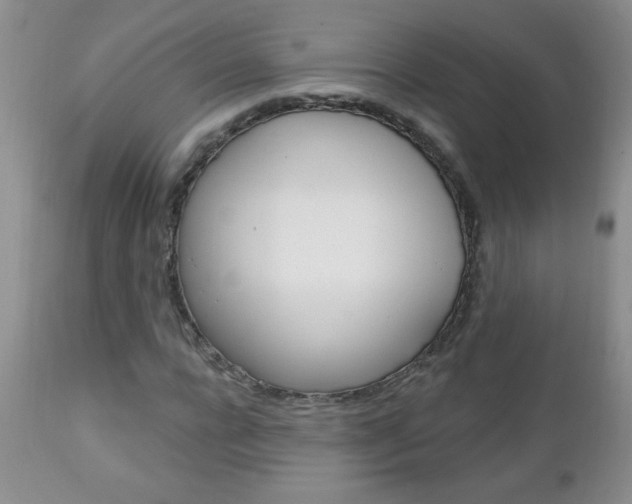 X0000111130920200906301101