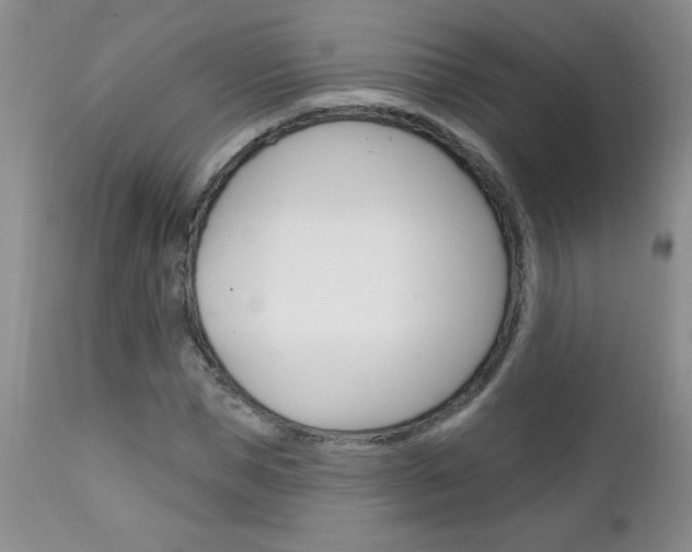 X0000111130921200906301101