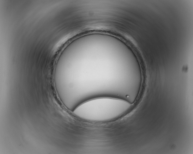 X0000111130922200906301101