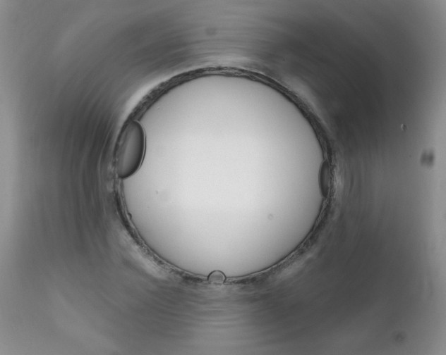 X0000111130924200906301101