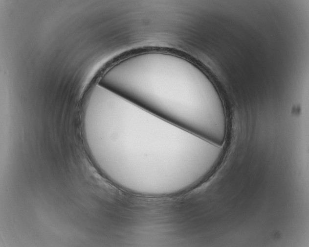 X0000111130926200906301101
