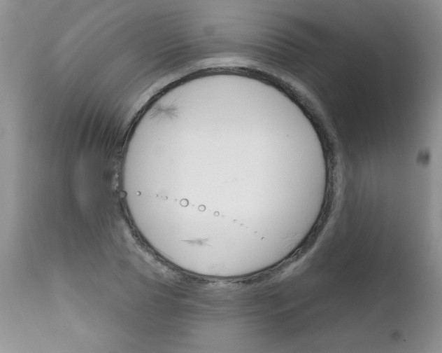 X0000111130929200906301101