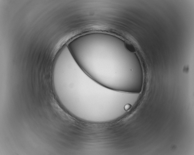 X0000111130930200906301101