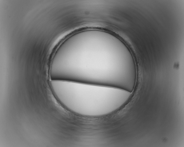 X0000111130935200906301101