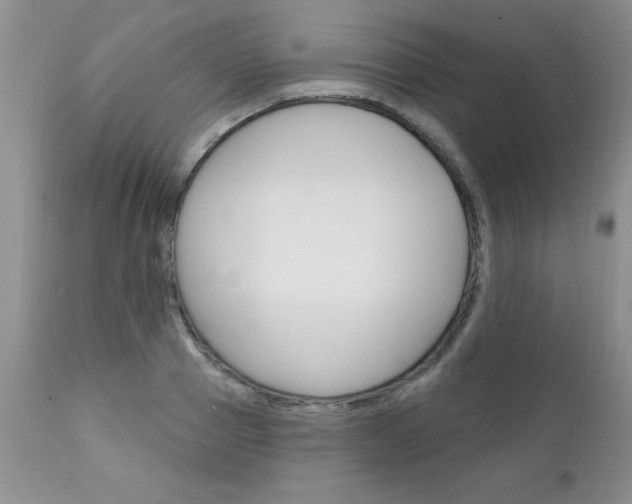 X0000111130937200906301101