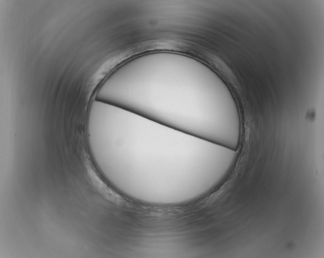 X0000111130938200906301101