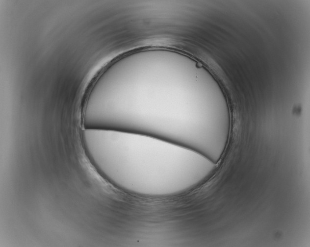 X0000111130939200906301101