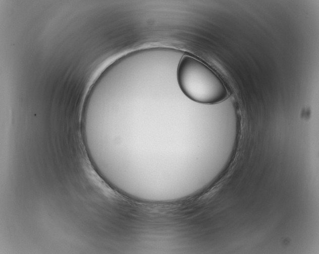 X0000111130940200906301102