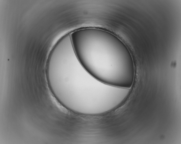 X0000111130942200906301102