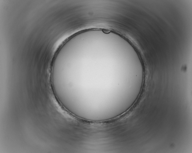 X0000111130944200906301102