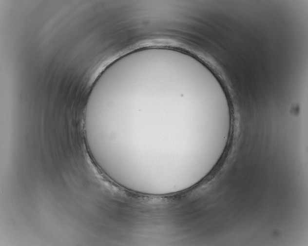 X0000111130945200906301102