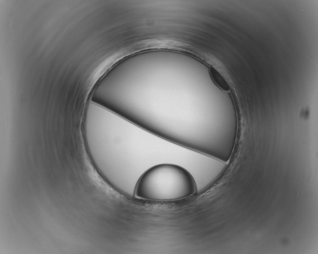 X0000111130946200906301102