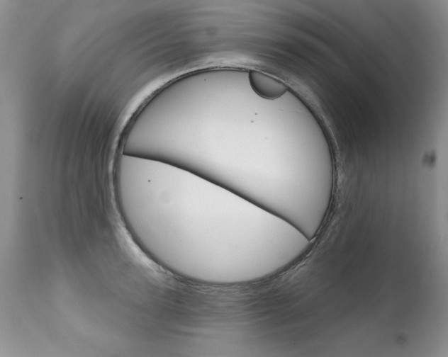 X0000111130947200906301102