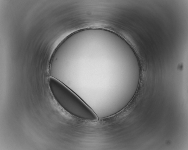 X0000111130948200906301102