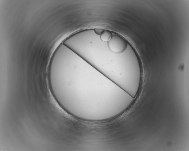 X0000111130949200906301102
