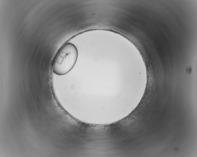 X0000111130950200906301102