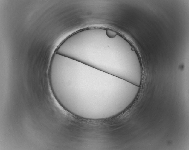 X0000111130951200906301102