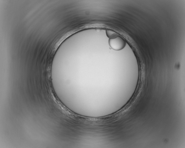 X0000111130953200906301102