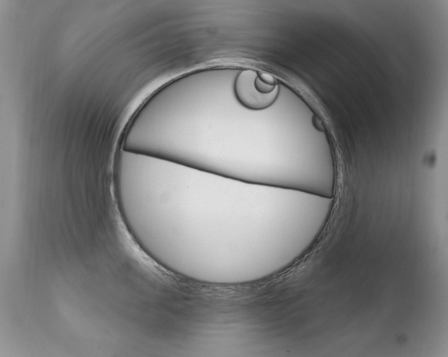 X0000111130955200906301102
