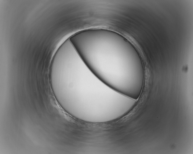 X0000111130956200906301102