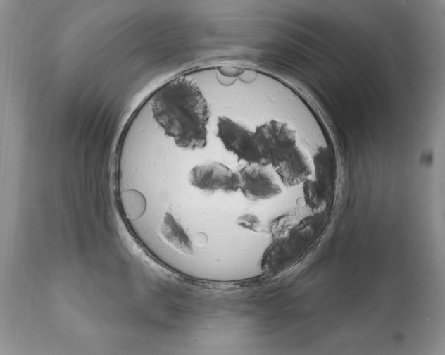 X0000111130957200906301102