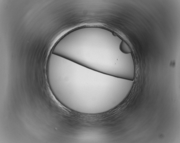 X0000111130959200906301102