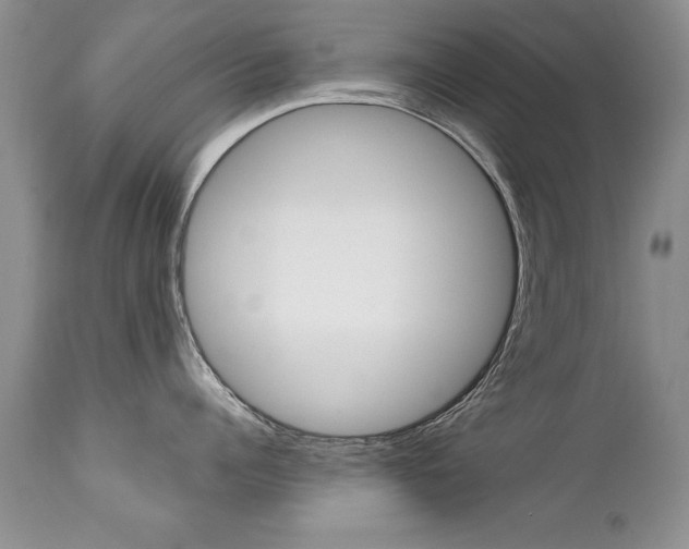 X0000111130960200906301102