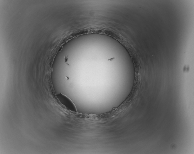 X0000111130961200906301101