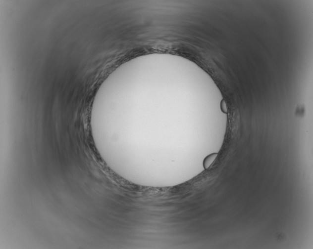 X0000111130962200906301101