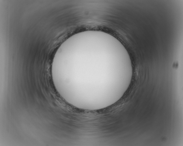 X0000111130964200906301101