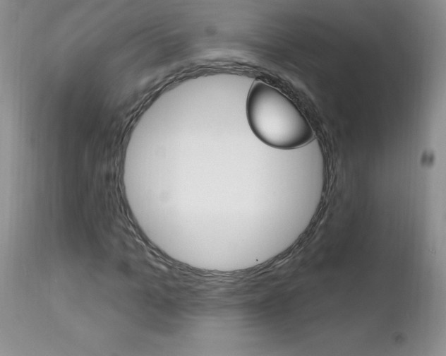 X0000111130965200906301101