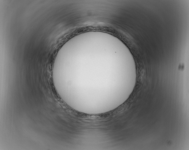 X0000111130966200906301101